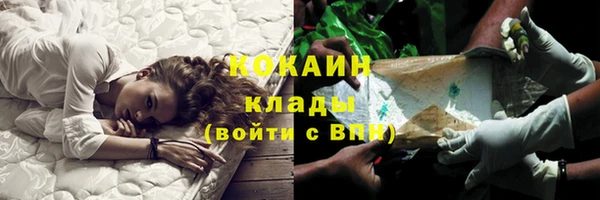 бошки Ладушкин