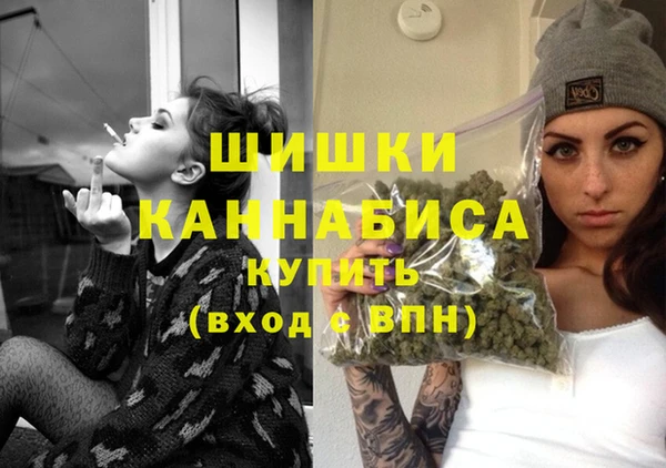 бошки Ладушкин