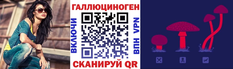 закладки  OMG маркетплейс  Псилоцибиновые грибы GOLDEN TEACHER  Лысково 